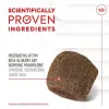 Royal Canin Digestion Chews Adult Supplements 160g