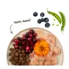 Sanabelle Adult Grande 2kg