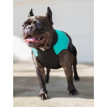 Chaba Ubranko regulowane Wear Magnifique M zielone