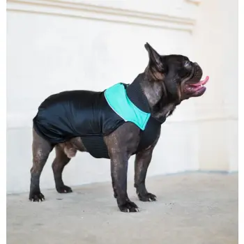 Chaba Ubranko regulowane Wear Magnifique 4XL zielone