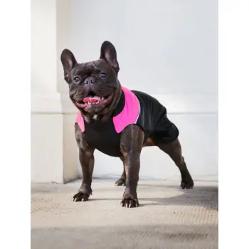 Chaba Ubranko regulowane Wear Magnifique M różowe