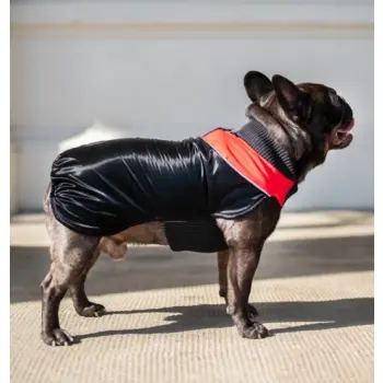 Chaba Ubranko regulowane Wear Magnifique 3XL czerwone