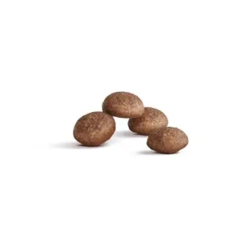 Royal Canin Ageing +11 karma sucha dla kotów dojrzałych 2kg