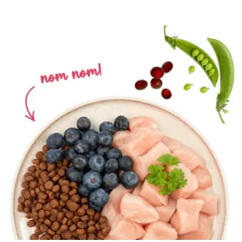 Sanabelle Adult Huhn z kurczakiem 8kg