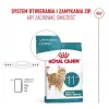 Royal Canin Ageing +11 karma sucha dla kotów dojrzałych 4kg
