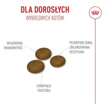 Royal Canin Fussy Exigent karma sucha dla kotów dorosłych, wybrednych 2kg