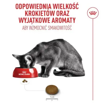 Royal Canin Fussy Exigent karma sucha dla kotów dorosłych, wybrednych 400g