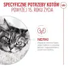 Royal Canin Ageing +15 karma sucha dla kotów dojrzałych 400g