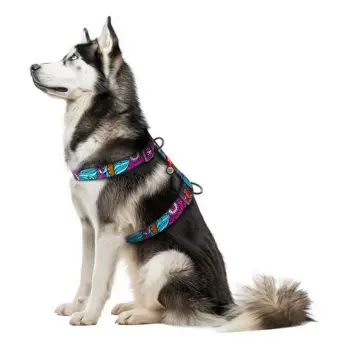 Collar WauDog Nylon Szelki nylonowe anatomiczne w kształcie litery H, z QR-paszportem, plastikowy fastex, wzór LATO, rozmiar XL 35mm