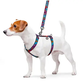 Collar WauDog Nylon Szelki nylonowe anatomiczne w kształcie litery H, z QR-paszportem, plastikowy fastex, wzór LATO, rozmiar S 15mm