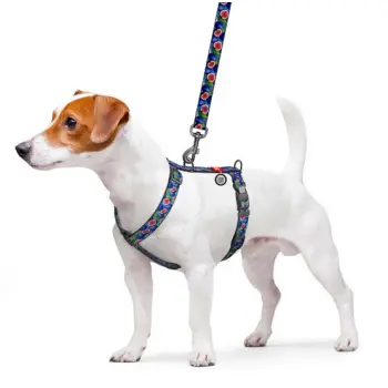 Collar WauDog Nylon Szelki nylonowe anatomiczne w kształcie litery H, z QR-paszportem, plastikowy fastex, wzór FIGA, rozmiar M 20mm