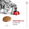 Royal Canin Medium Adult 7+ karma sucha dla psów dorosłych, ras średnich 15kg
