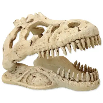 REPTI PLANET Dekoracja Czaszka T-REX 13,3x8,5x9cm
