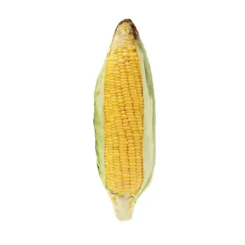 Ferribiella Matatabi Kukurydza 19,5cm