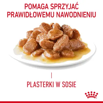 ROYAL CANIN Intense Beauty Gravy 12x85g