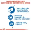 ROYAL CANIN Indoor Long Hair 4kg