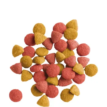 Versele-Laga Lara Adult Urinary Care Z Kurczakiem 350g