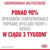 ROYAL CANIN Intense Beauty Gravy 12x85g
