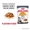 ROYAL CANIN Intense Beauty Gravy 12x85g