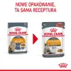 ROYAL CANIN Intense Beauty Gravy 12x85g