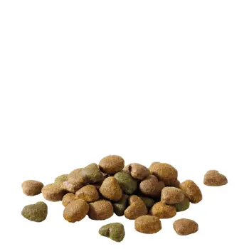 Versele-Laga Happy Life Adult Energy Z Kurczakiem 15kg