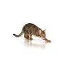 ROYAL CANIN Pure Feline Vitality 1,5kg