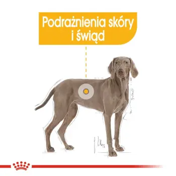ROYAL CANIN CCN Maxi Dermacomfort 10kg