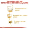 ROYAL CANIN Cocker Spaniel Adult 12kg