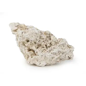 Skała reef rock M 13-20 cm 1 kg