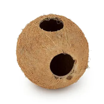 Skorupa kokosa Happet 1/1 nieszczotkowana 3 szt.