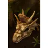 R206 ozdoba terrarium czaszka smok