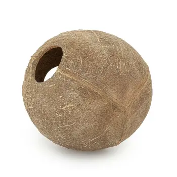 Skorupa kokosa Happet 1/1 szczotkowana 3 szt.