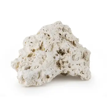 Skała reef rock XL 25-35 cm 1 kg