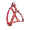 Szelki NT Happet SG34 zielone 2.5 cm