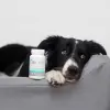 [W] VET EXPERT KALMVET 60 KAPSUŁEK