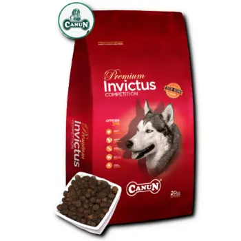 PRÓBKA Canun Invictus z jagnięciną 60g