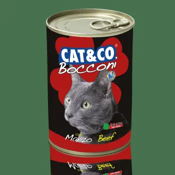 Cat&Co kawałki z wołowiną 400g