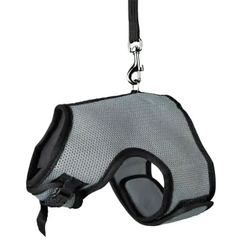 TRIXIE Miękkie szelki dla dużych królików ze smyczą, 25–40 cm, 1.20 m [TX-61514]