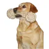 KERBL Zabawka dla psa z włóknem czyszczącym zęby 12x40cm [81454]