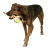 KERBL Zabawka dla psa, piłka na lince 37cm [80795]