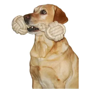KERBL Zabawka dla psa z włóknem czyszczącym zęby 12x40cm [81454]