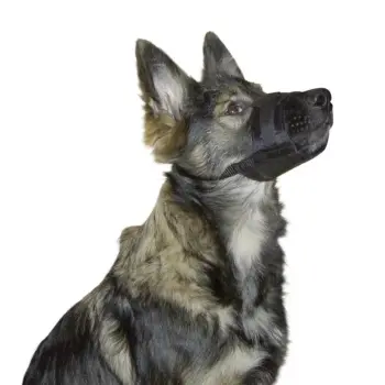 KERBL Kaganiec dla psa Nylon, 17-22cm x 7,5cm [82145]