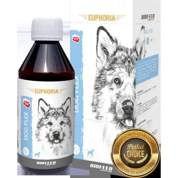 BIOFEED EUPHORIA Dog Flex Preparat na stawy dla psa 250ml