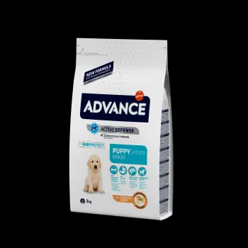 ADVANCE Puppy Protect Maxi - sucha karma dla szczeniąt ras dużych 3kg [513319]