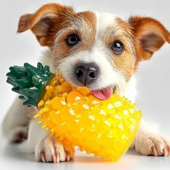 Zabawka chłodząca ananas