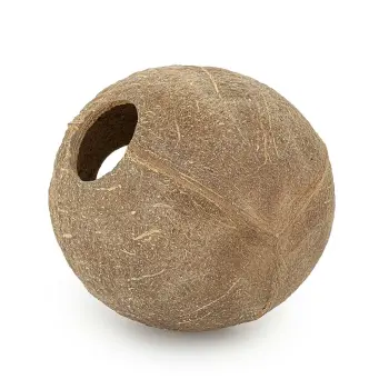 KOKOS skorupa 1/1 szczotkowana 3szt
