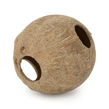 KOKOS skorupa 1/1 szczotkowana 3szt