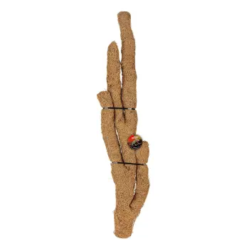 KOKOS gałąź Troncho L, 80cm