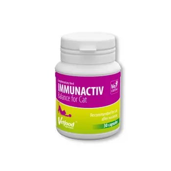 Immunactiv Balance dla kota 30 kapsułek